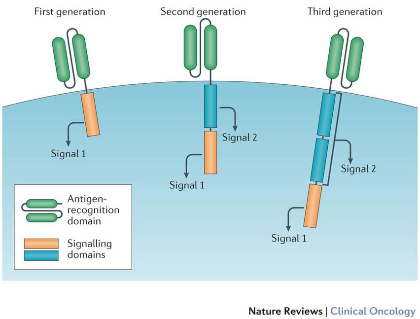 CAR T-cell therapy study